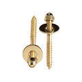 Plumb Pak Toilet Screw Set Brass PP835-151